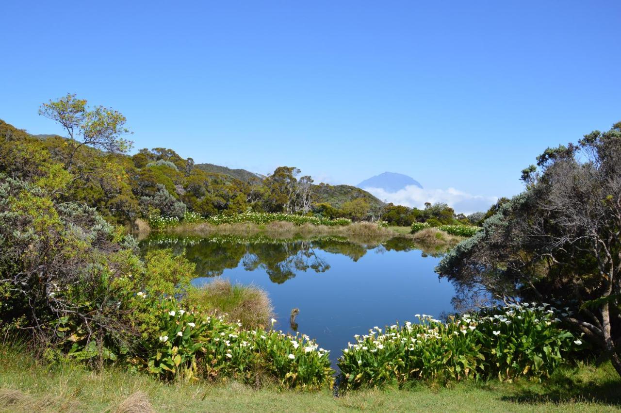 Relais Du Volcan 卡夫尔高原 外观 照片